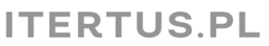 Itertus Logo Itertus